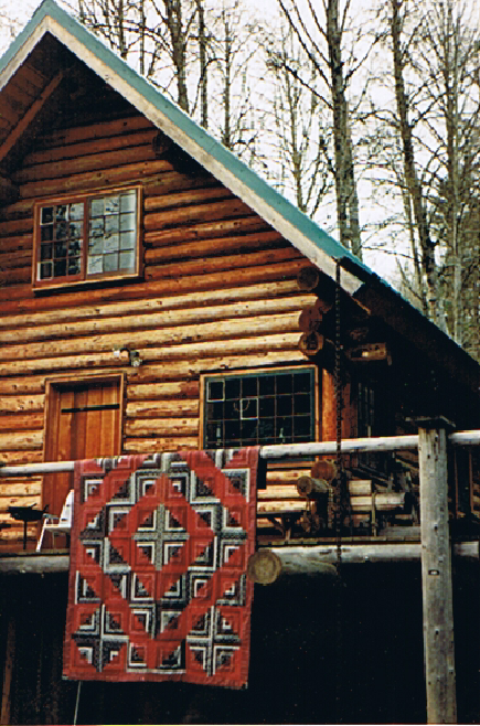 Cabin at the cabin